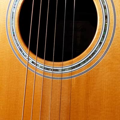 PRS SE A60E Angelus + Hard Case image 10