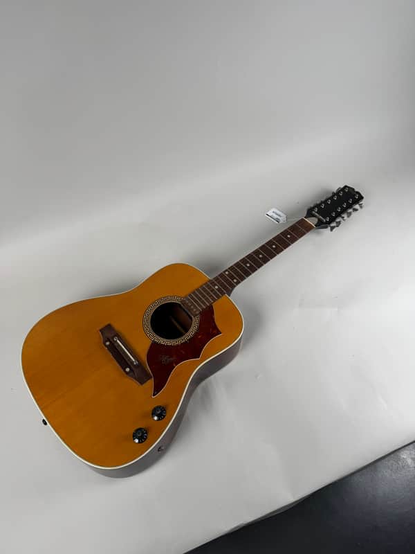 Hoyer 12–String Projec 1970’s image 1