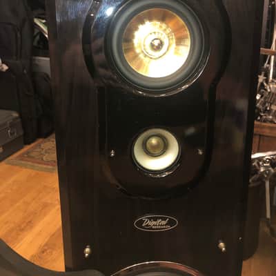 Digital Research PT-1100S Digital Three-Way/Four Speakers(pair for floor) 2000’s Glossy Dark Brown Wood image 3