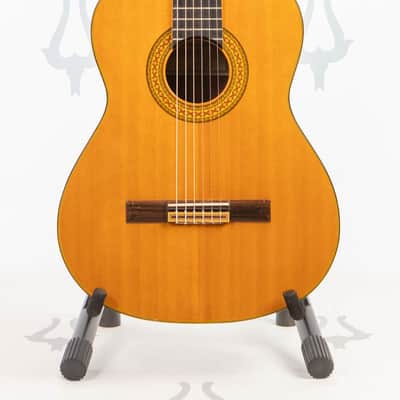 Daion GC 20 (Yamaki Built) image 1
