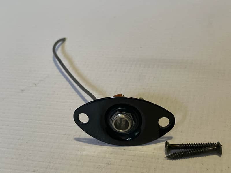 Metal caster wheel with attached swivel arm and small screw.