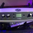 Moog Theremini