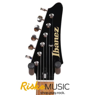 Ibanez FLATV1BK image 3