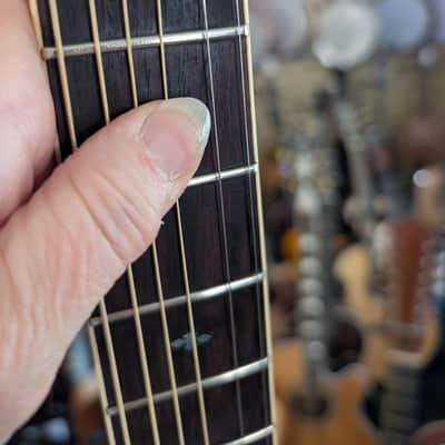Hohner International Limited Edition HG310 Dreadnought Acoustic Guitar image 4