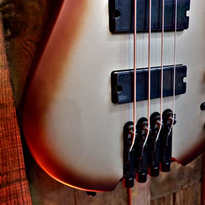 Ibanez EHB600-CCM Bass Workshop - Charred Champagne Burst Matte image 4