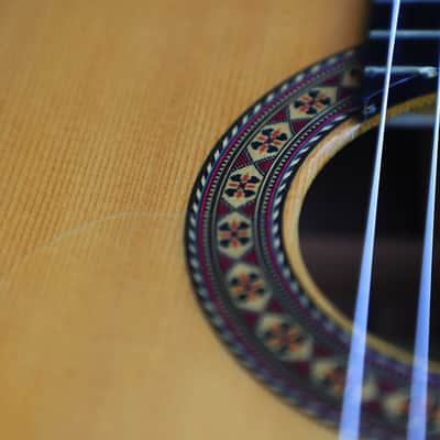 Jose Salinas 2019 "Negra" Flamenco Guitar - Exceptionally good sounding Guitar – Powerful & Expressive - Check Video! image 15