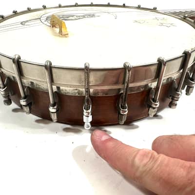 Vega vintage tenor cello banjo 4 strings with painted head New York made Style N “the Tabby” 1924 - Wood and half skin image 12