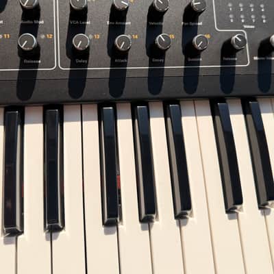 Dave Smith Instruments Prophet 08 PE [MINT!] image 12