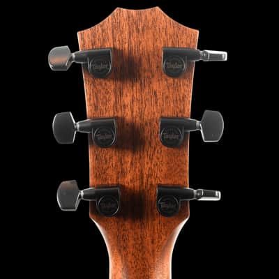 Taylor 324ce Mahogany 2024 image 6