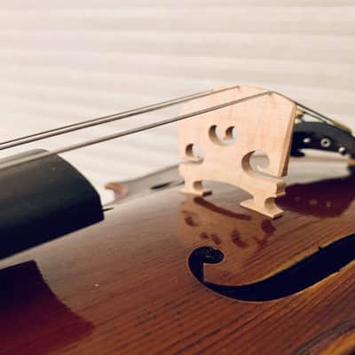 Luciano SDERCI 1957 Italian violin 4/4 image 7