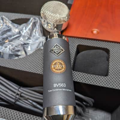 Revive Audio Modified: Alctron Audio BV563, Multi-Capsule Tube Condenser microphone, Gold Lion, Top Shelf image 7