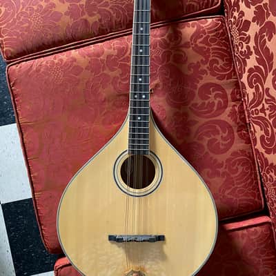 Gold Tone Octave Mandolin / OM-800+ / Hardcase Included / Pickup Installed / Excellent Cond image 3