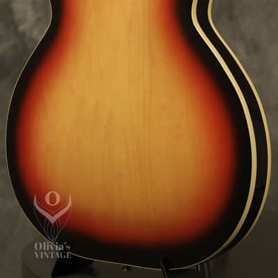 Immagine 1967 Fender Coronado Bass I Sunburst - 22