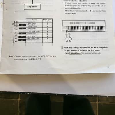Roland A-220 Midi seperator mid 80s - Black image 14