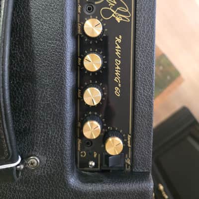 DV Mark 'Raw Dawg' Eric Gales 60w Combo 2022 - Black Tolex image 3