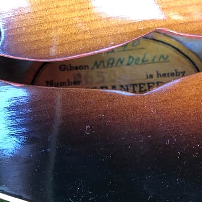 Gibson Mandolin A-40 1964 - Sunburst image 6