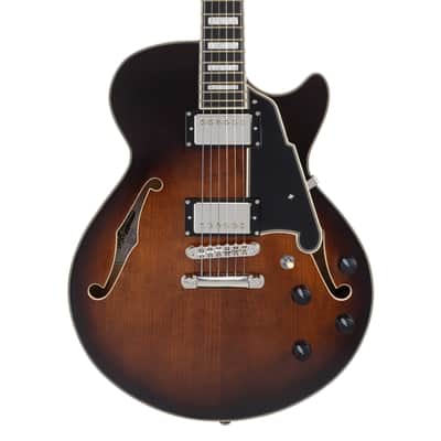 D'Angelico Premier SS Black Flake + Bag Bild 5