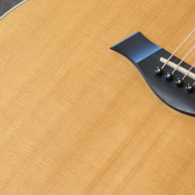 2020 Taylor GC8 Natural Acoustic/ Electric Grand Concert Guitar + OHSC image 6