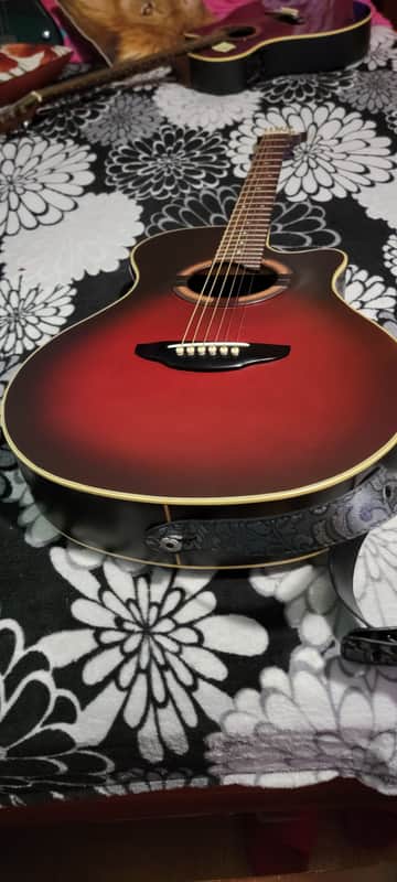 Yamaha APX-6SA Red and Mahogany | Reverb
