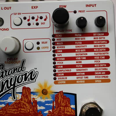 Electro-Harmonix Grand Canyon Delay and Looper Guitar Effects Pedal w/Box & Power Supply image 2