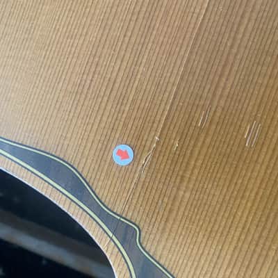 Eko 39 Inch Classical Guitar Project, Spruce Top, Rosewood Body, Mahogany Neck image 7