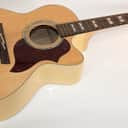 Takamine EG-523SC-12 Jumbo 12 String • OHSC