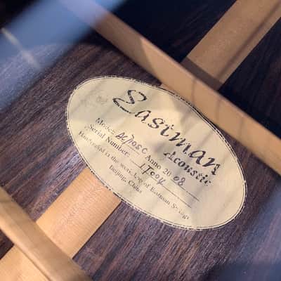 Eastman AC710SC - 2008 Natural image 7