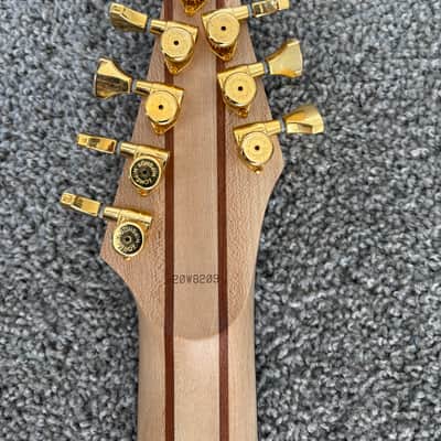 Aviator Custom Guitars Warbird 8 String 2020 - Satin image 7