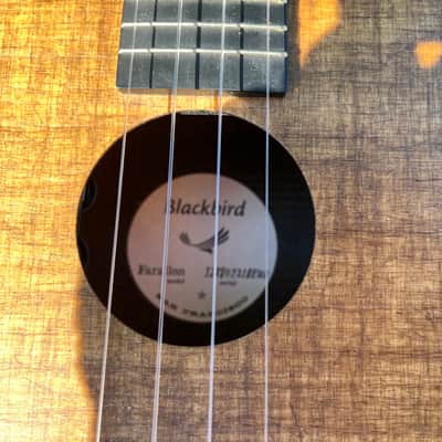 Blackbird Farallon Tenor Ukulele EKoa with MiSi pickup and Crossrock hard case image 15