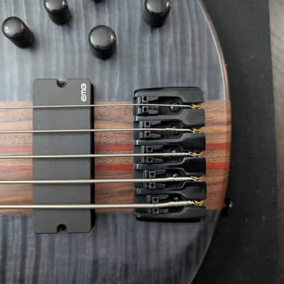 Schecter Charles Berthoud CB-5 Signature - See-Thru Black Satin - 5-String - EMG Active - Excellent image 10