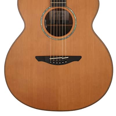 Avalon ARDRI L1 350C Guitar #2454 image 1