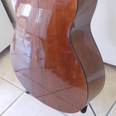 FENDER Gemini 1 Nylon String Classical Acoustic Guitar / Hard Case image 9