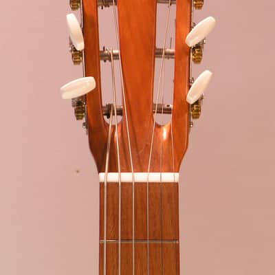 Dobro bois Squareneck F60 de 1987 image 3