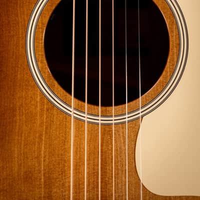 Taylor Gold Label 517e SB Grand Pacific Acoustic/Electric Guitar - Sunburst with Cream Pickguard and Hardshell Case image 10