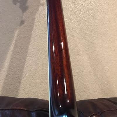 Eastman Ac320ce image 6