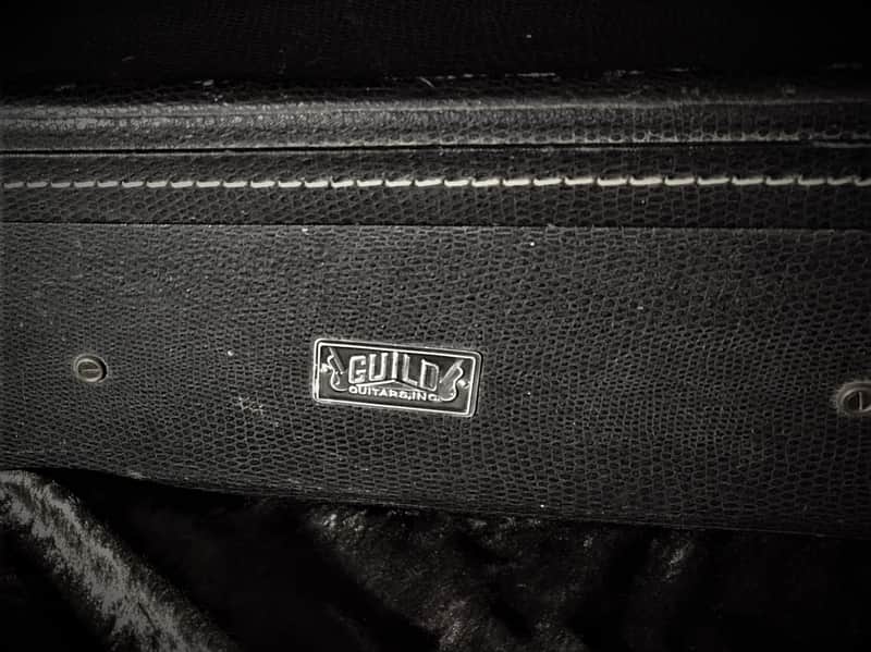 Guild Vintage Rare Ess and Ess Acoustic Guitar Case 1960s Faux Alligator image 1