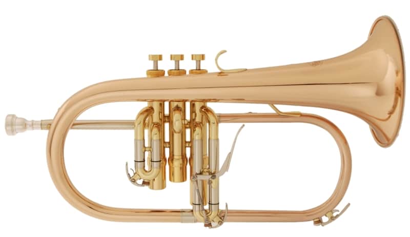 music world MWFH-601R in B image 1