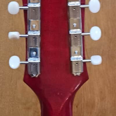 Epiphone Les Paul Special Mint Condition 2wks Old image 8