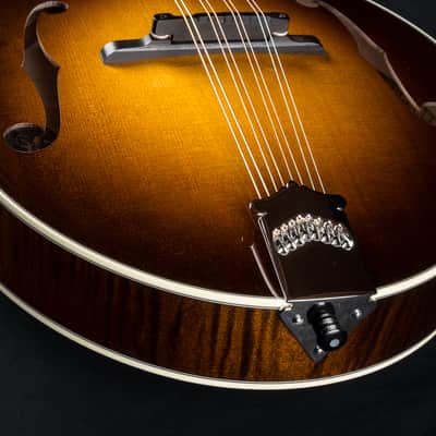 Collings MT2 Mandola Sunburst Adirondack Spruce and Flamed Maple NEW image 15