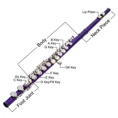 New C Flute Closed Hole Musical Instrument 16 Key Student Flute Beginner Set with Case image 4
