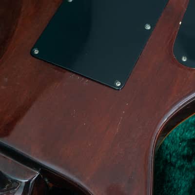 Washburn RS-10V 1987 - Natural - with Case image 9