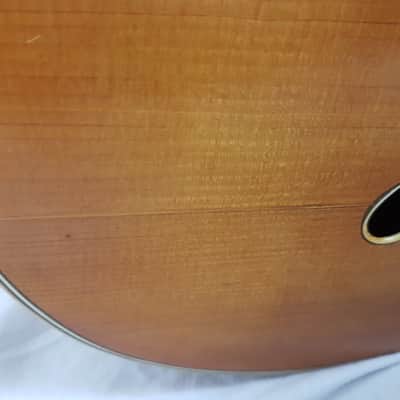 RARE Vintage 1949 Otto Meindl Migma Meister Jazz Guitar "Mein-Del" (Germany) image 13