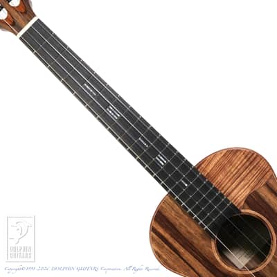 TODA GUITARS <MIJ>VB ALL Wild Mango 2026 image 5