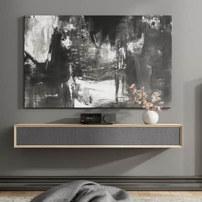 LYNGDORF TDAI-2100 Stereo Streaming & Integrated Digital Amp (Optional High-End Analog module INCLUDED) - NEW! image 10