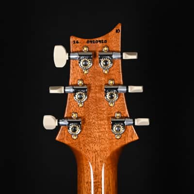PRS Custom 24 Piezo w/ 10-Top & DMO Pickups Electric Guitar- Aurora Borealis 2026 (0420420) image 8