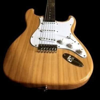 CUSTOM STRAT STYLE SOLID 12 STRING ELECTRIC GUITAR + GIG BAG image 1