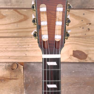 Ibanez FRH20SMN Nylon Acoustic/Electric Guitar Tobacco Burst image 6