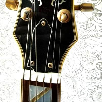 Encore - L5 Style Archtop, Showcase/Prototype, 1975 - Matsumoko - Master built, Excellent + Condition, HS Case, Free Worldwide Shipping ! image 9