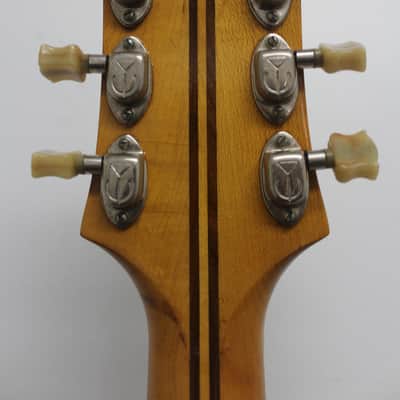 Epiphone Triumph Regent 1951-1953 image 12