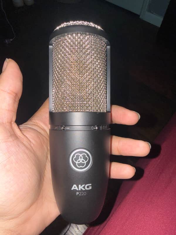 AKG P220 Large Diaphragm Cardioid Condenser Microphone 2010s - Black image 1